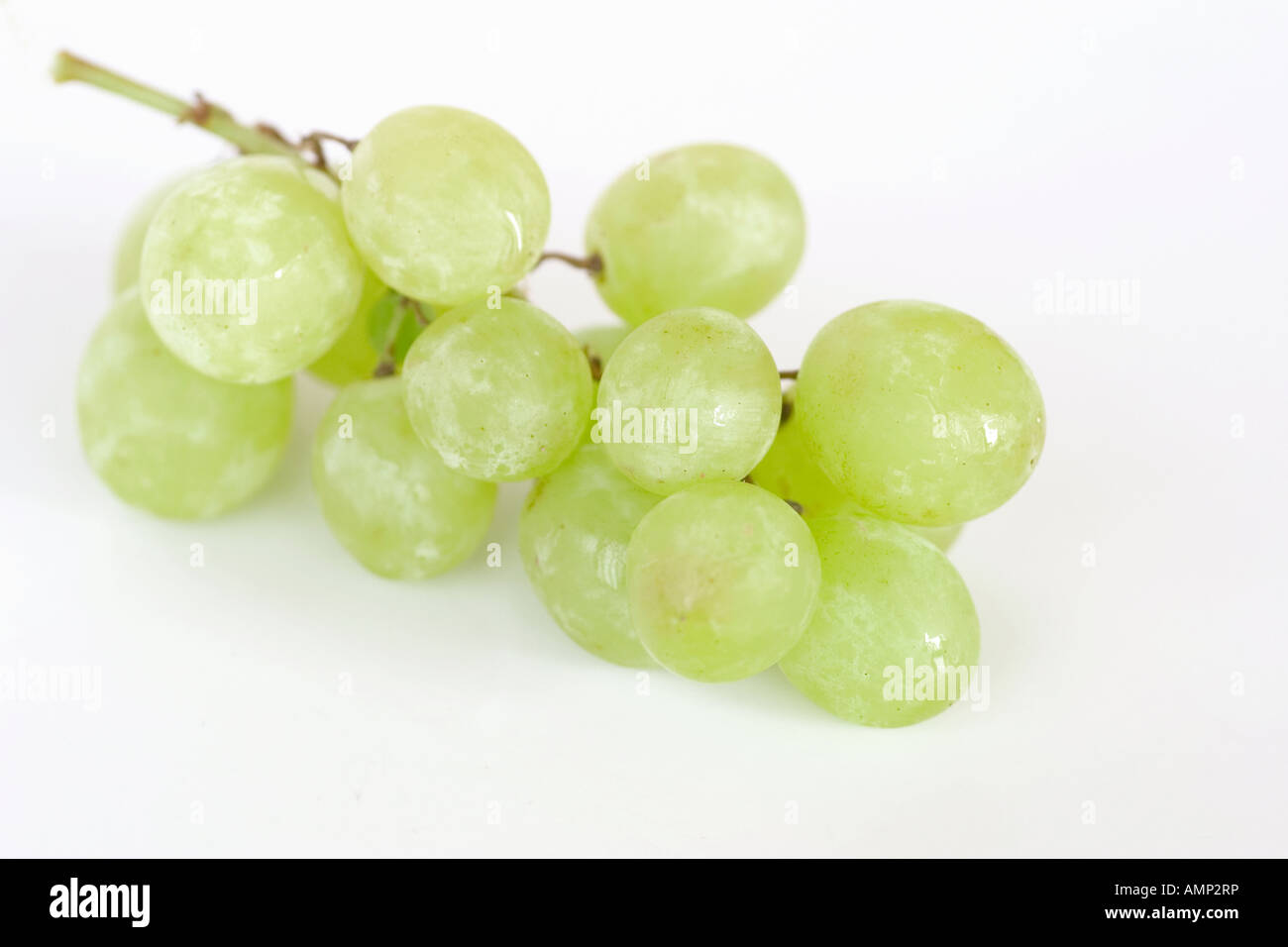 Luscious grape hi-res stock photography and images - Alamy Luscious grape hi-res stock photography and images - Alamy