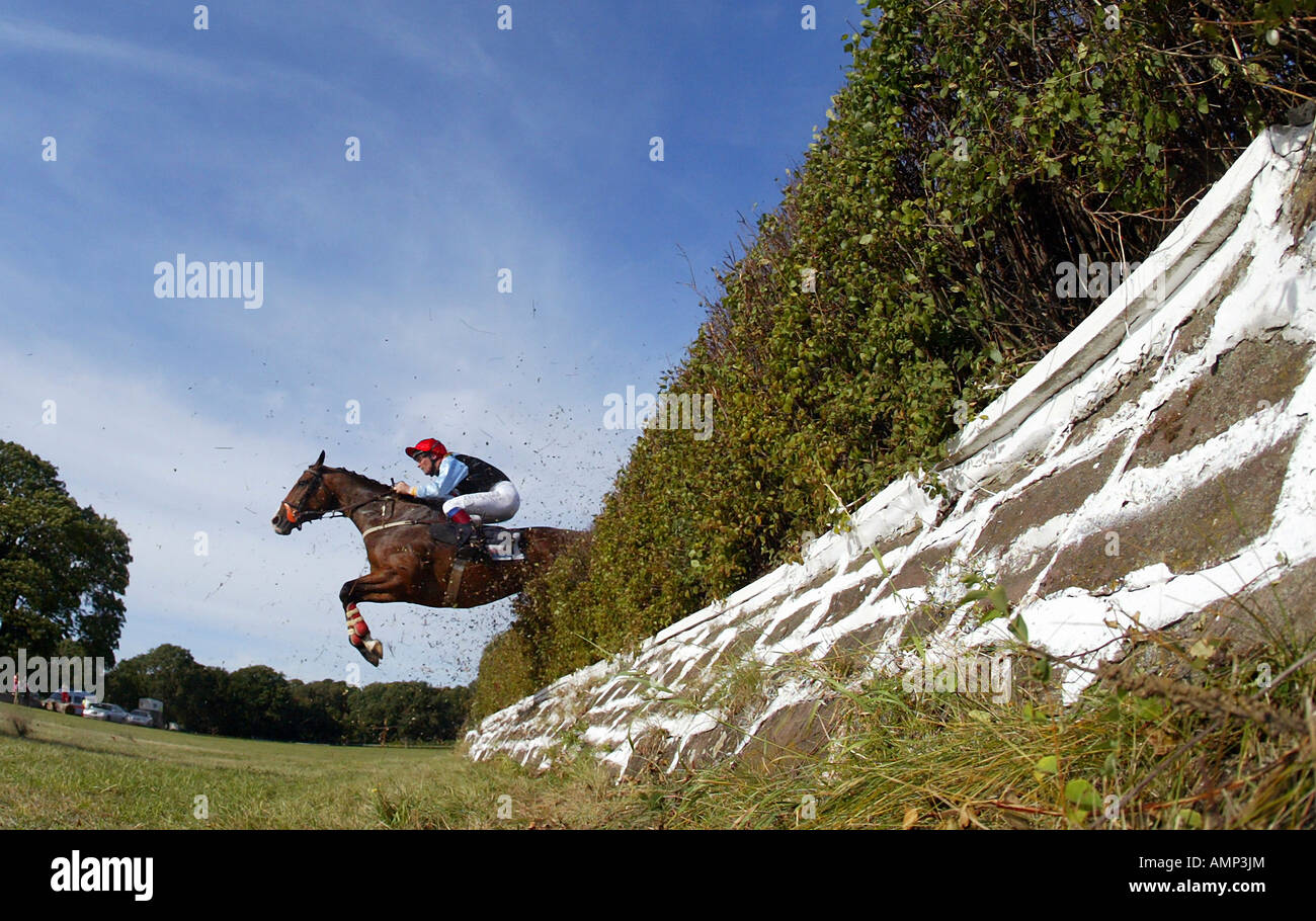 Horse jumping over a hurdle at a horse race, Hoppegarten, Germany Stock Photo