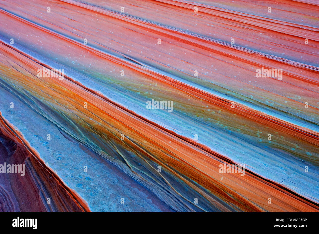 The Wave, petrified sand dunes, USA, Arizona, Paria Canyon Vermilion