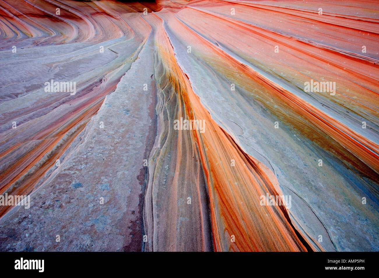 The Wave, petrified sand dunes, USA, Arizona, Paria Canyon Vermilion