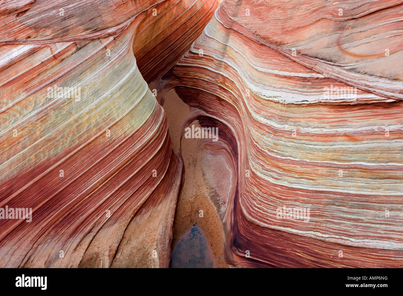 The Wave, petrified sand dunes, USA, Arizona, Paria Canyon Vermilion