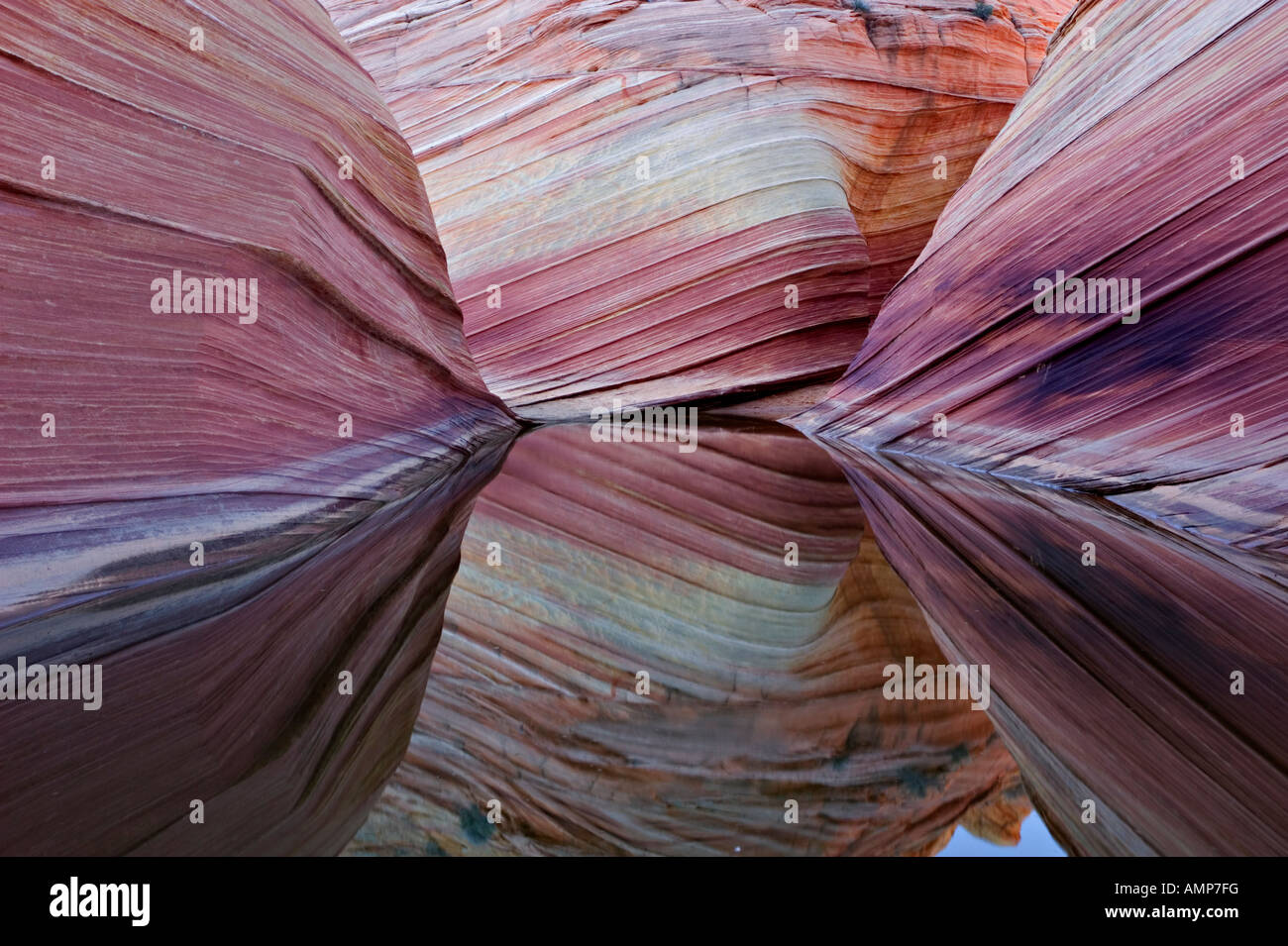 The Wave, petrified sand dunes, USA, Arizona, Paria Canyon Vermilion