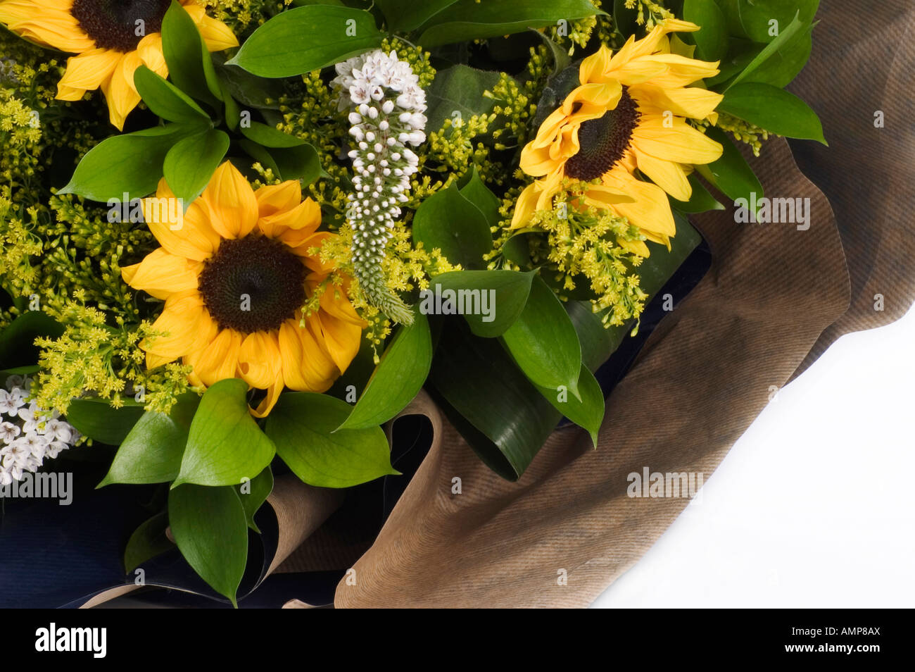 Closeup Of Flower Arrangement With Sunflower Heads Leaves And Small White Flowers Stock Photo Alamy