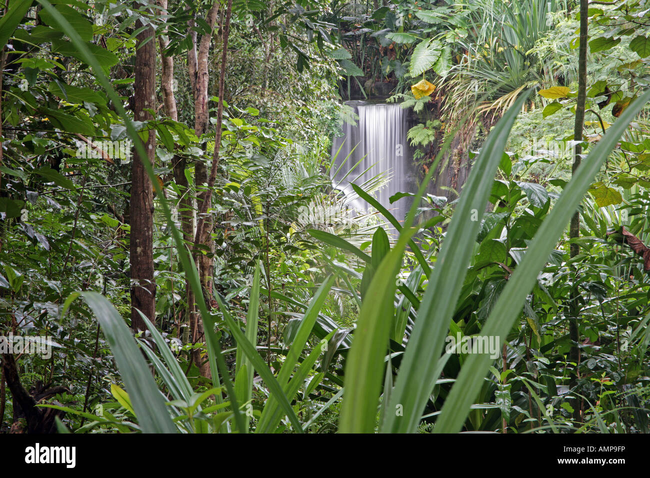 The waterfall in Masoala Rainforest Zurich Zoo Switzerland replica of a rainforest in Madagascar Stock Photo