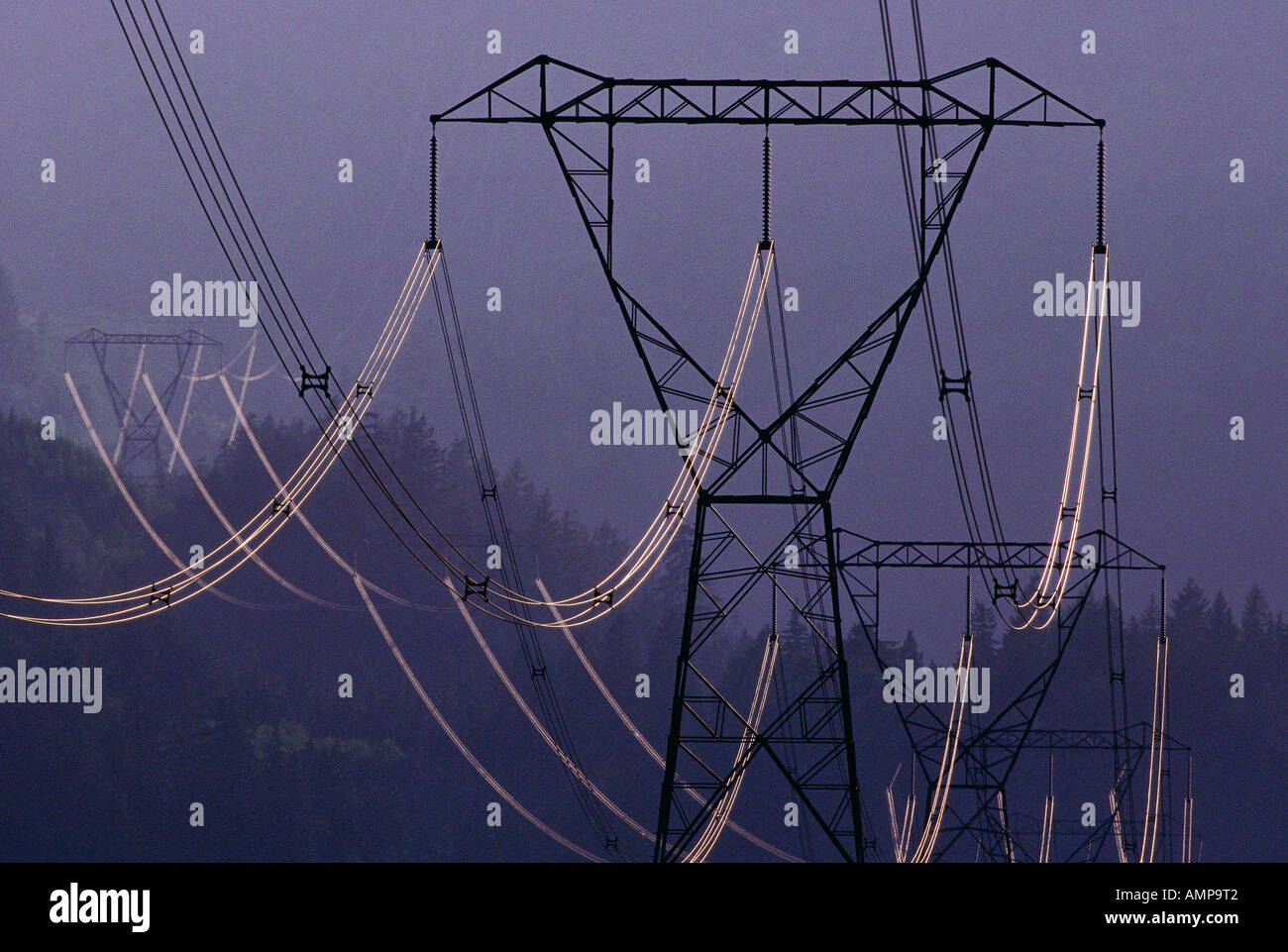 Power Lines, British Columbia, Canada Stock Photo