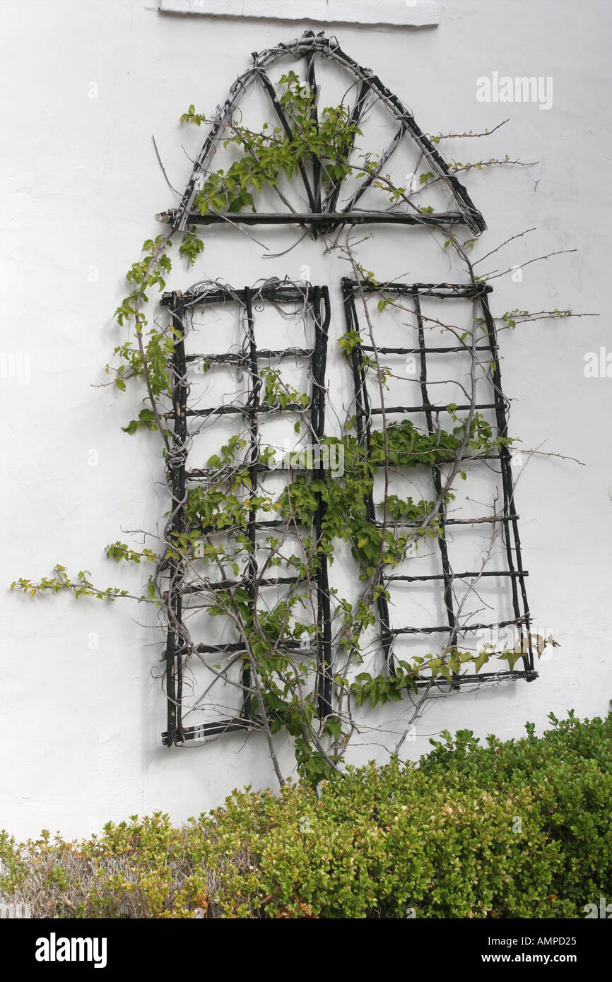 Plant Wall Frame Carmel By Sea California USA Stock Photo