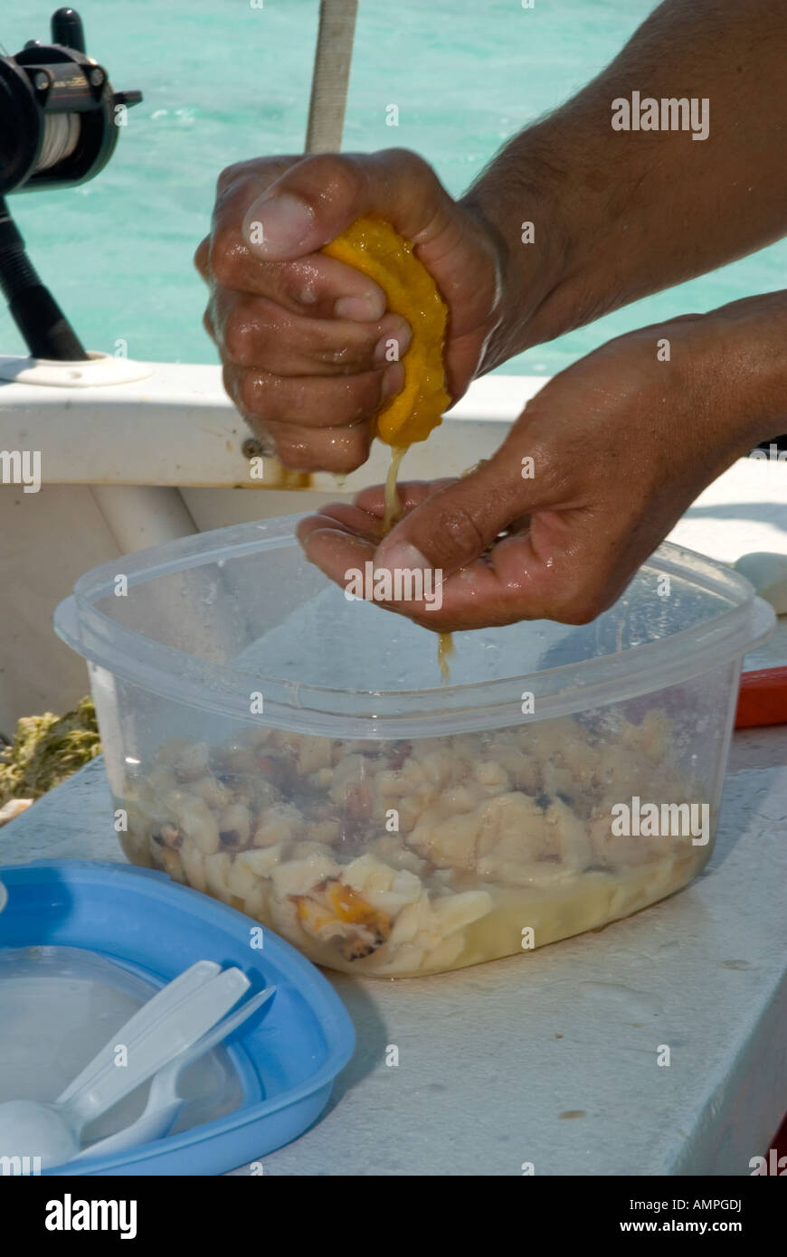 Man making conch salad Long Island Bahamas Stock Photo - Alamy