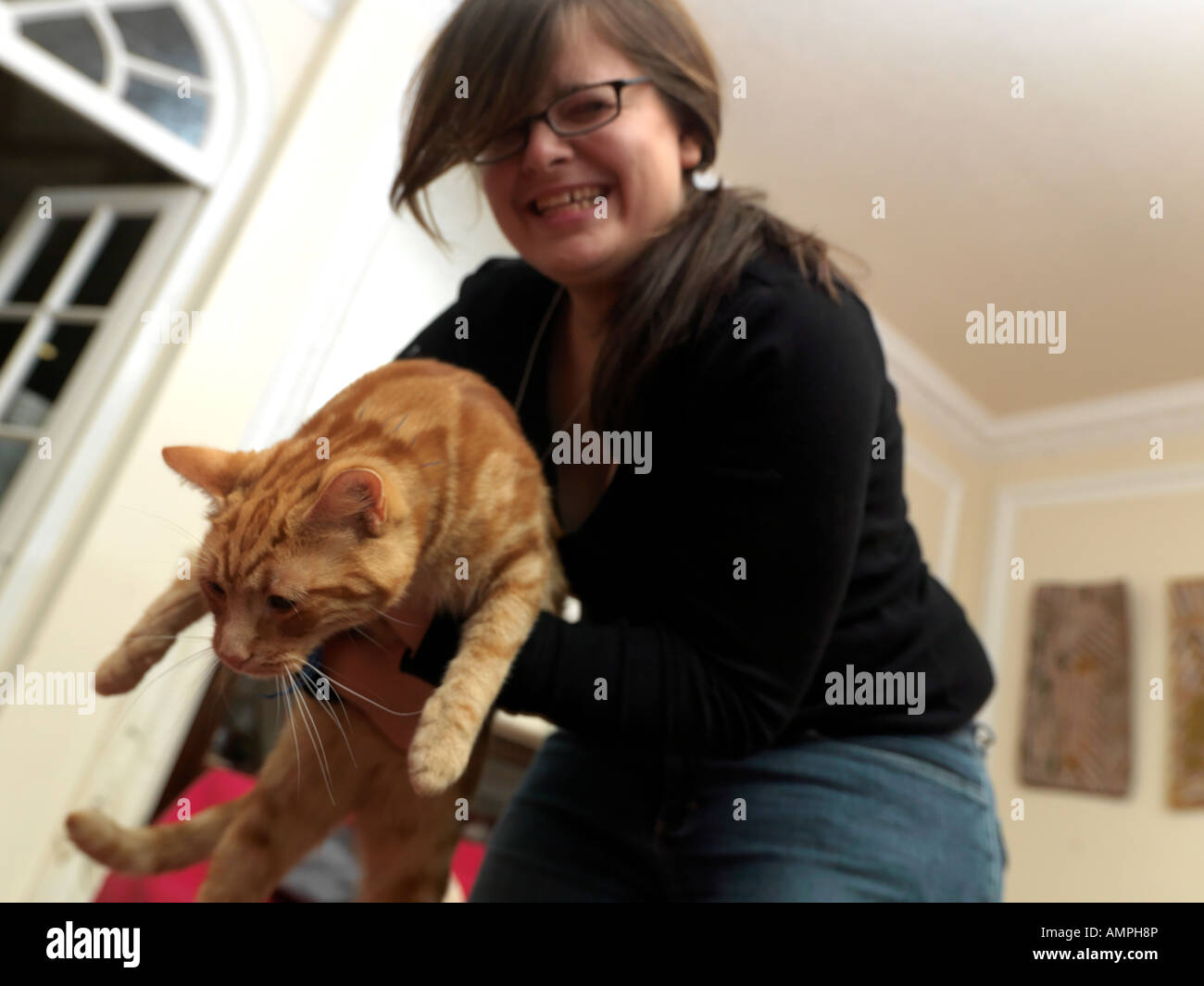 Person Picking up an Unwilling Cat Stock Photo Alamy