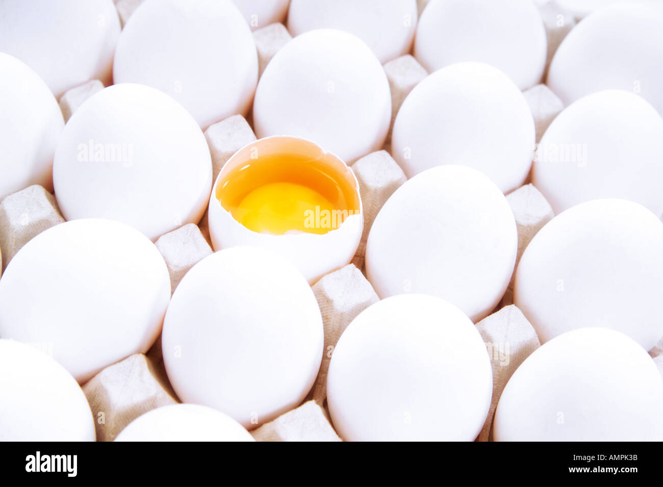 Eggs and yolk Stock Photo