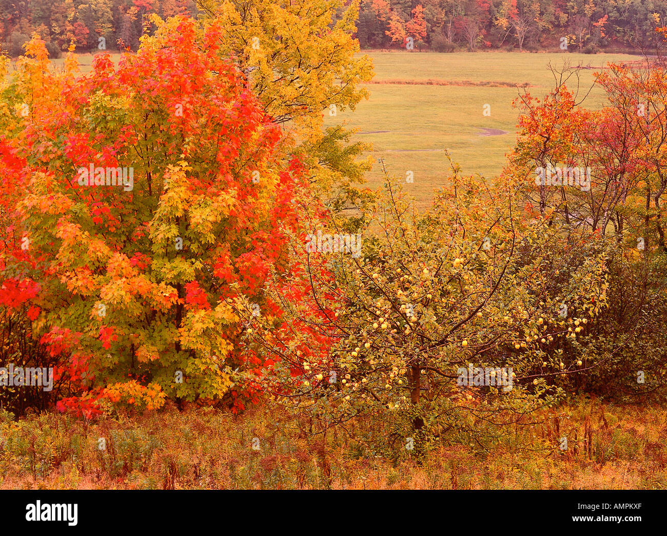 Margaree valley hires stock photography and images Alamy