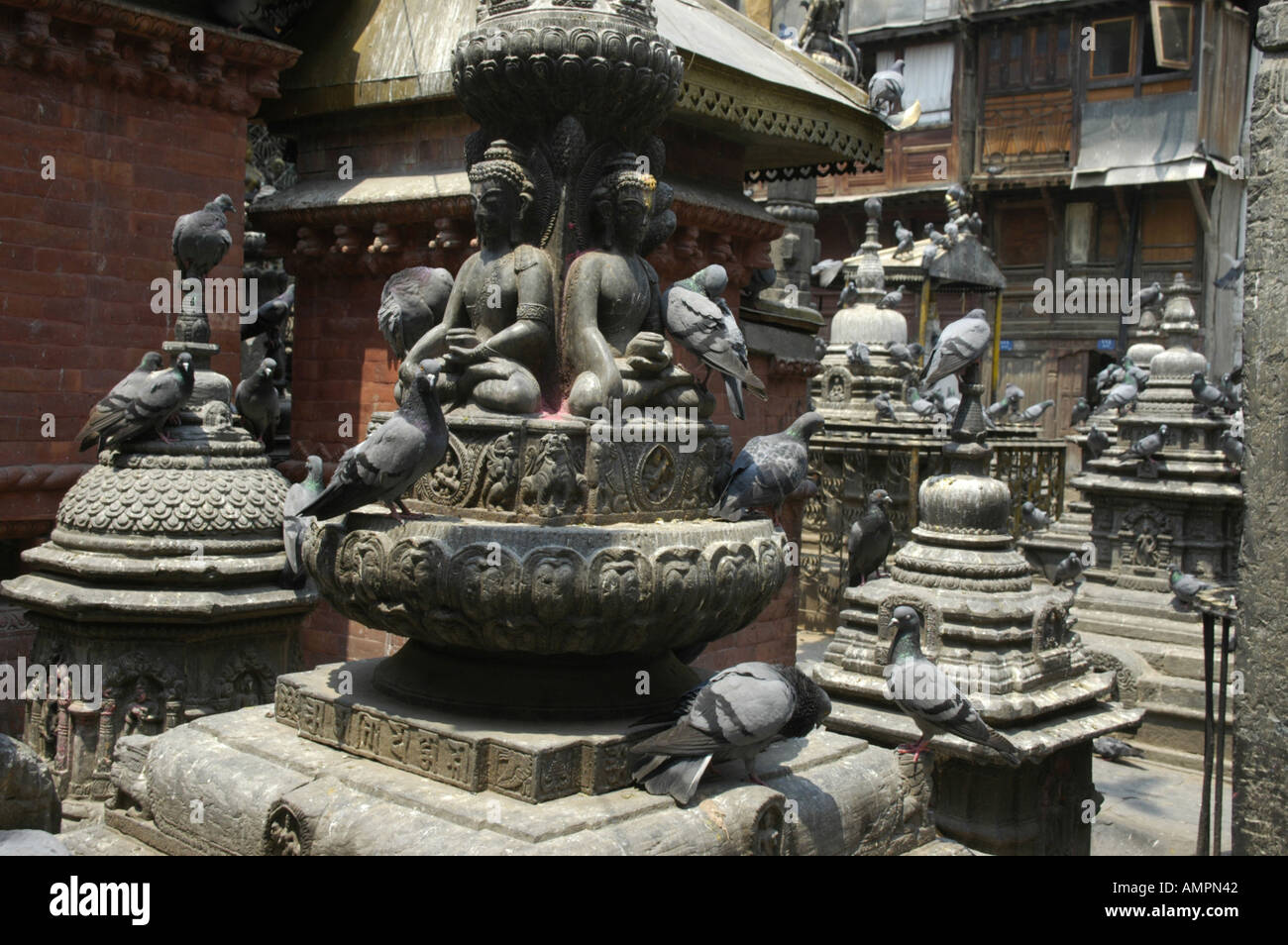 Many shrines chaityas and statues with pigeons in Seto Macchendranath Temple Kel Tole Kathmandu Nepal Stock Photo