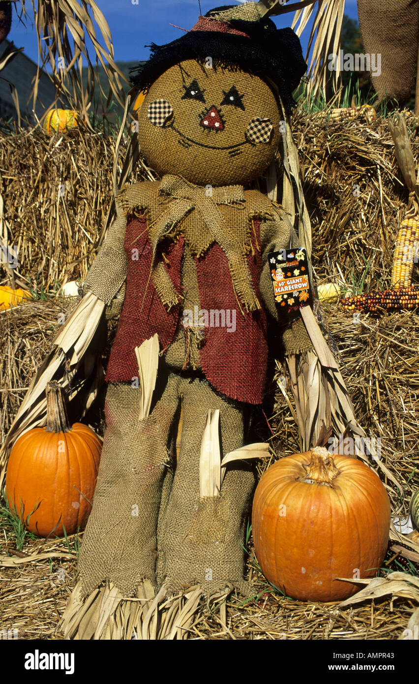 scarecrow with gourd and haybale Stock Photo - Alamy