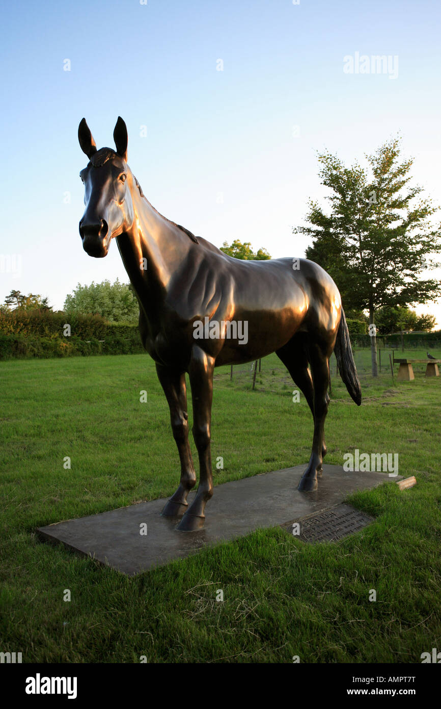 Best mate horse hires stock photography and images Alamy