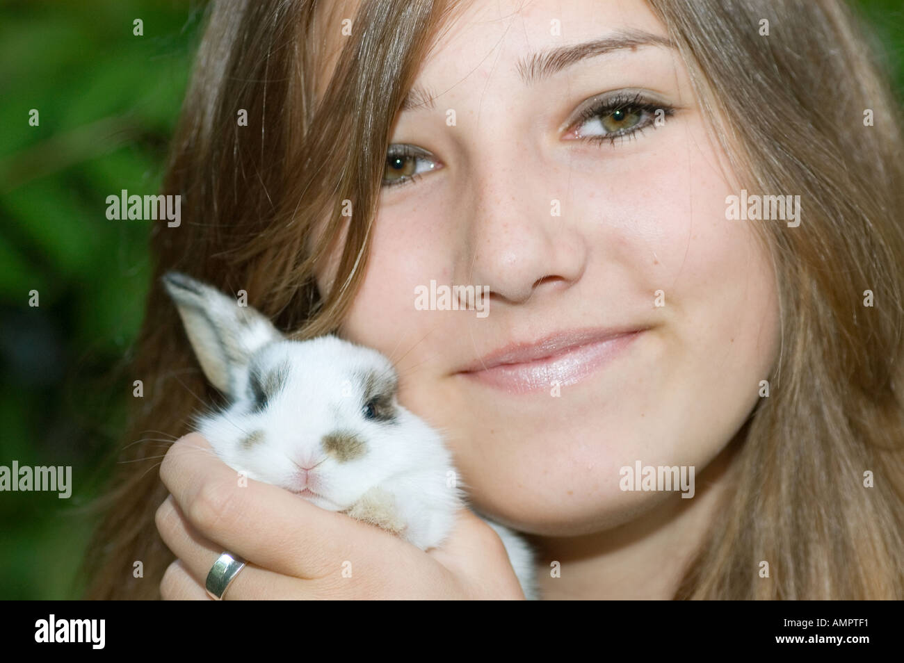 Mr hare hi-res stock photography and images - Alamy