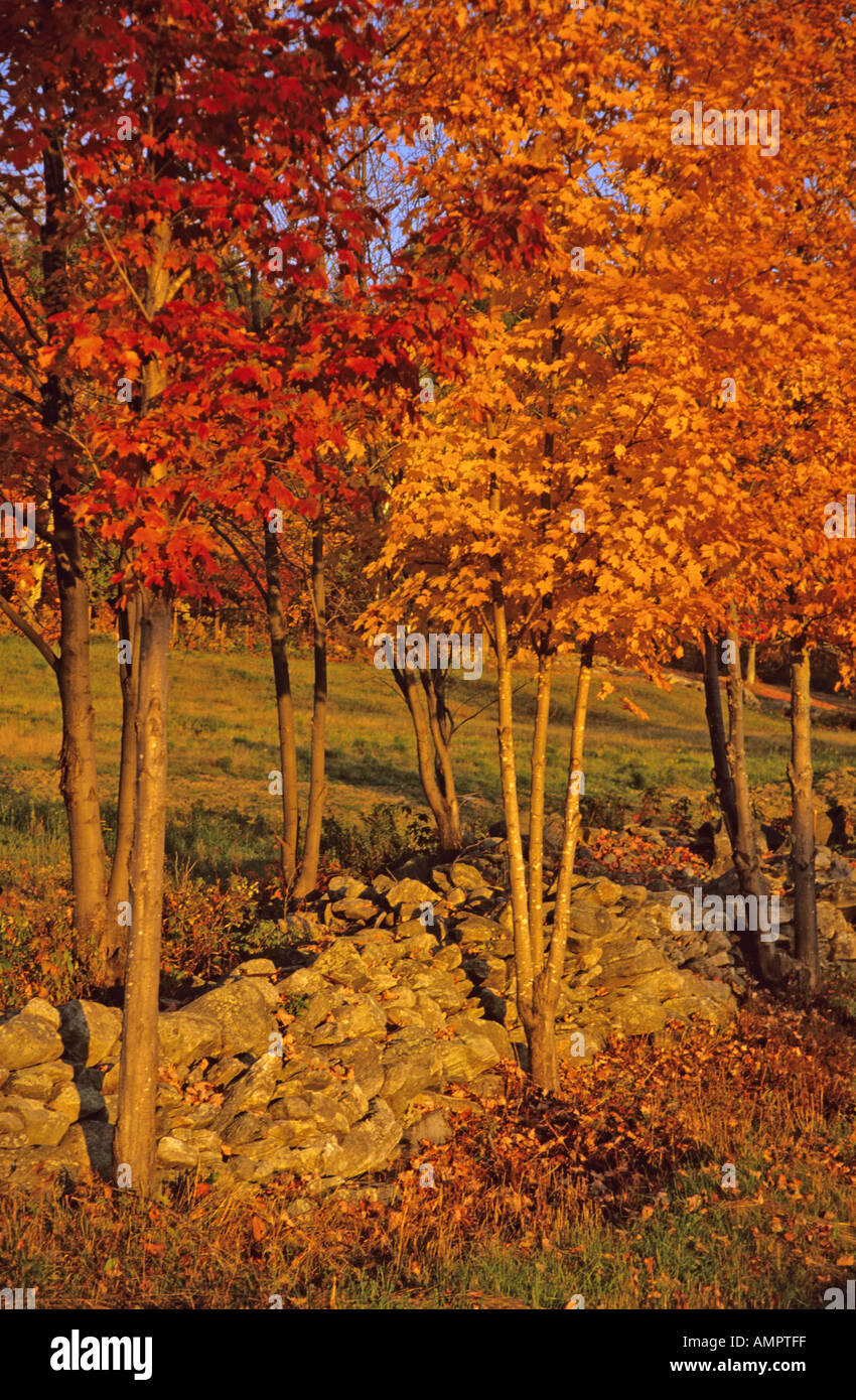 Indian Summer Maine High Resolution Stock Photography and Images Alamy