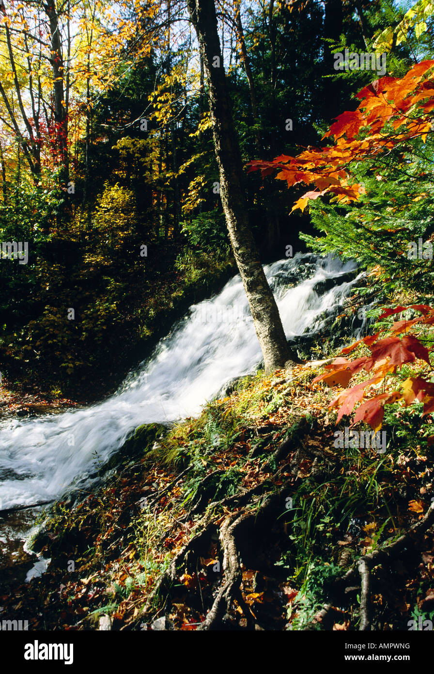 Carp River Falls in autumn color near Marquette, Michigan, in Upper