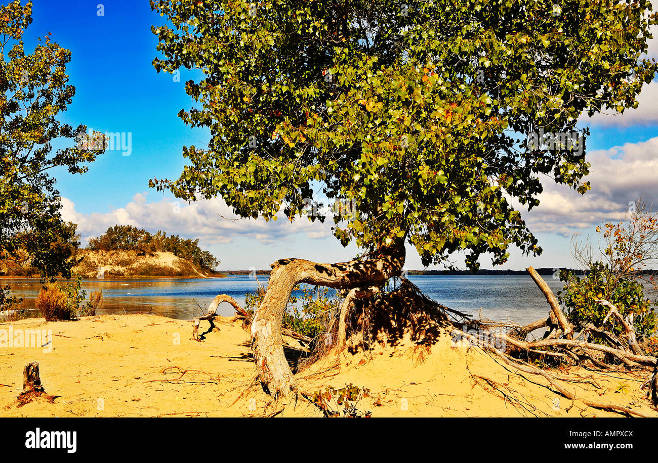 Sandbanks Provincial Park and Westlake Prince Edward County Ontario Canada Stock Photo Alamy