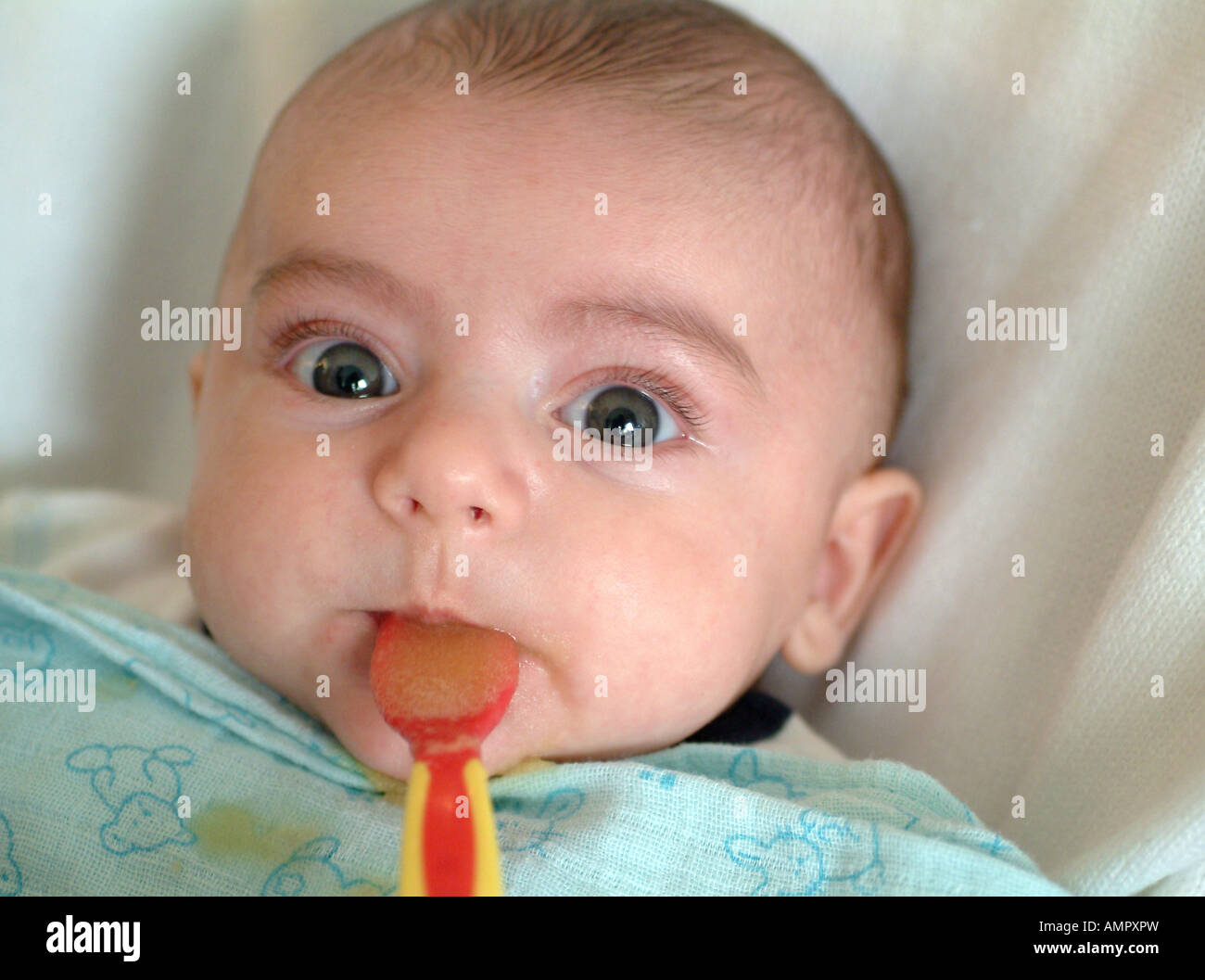 First tastes a baby is fed some pureed fruit on a spoon Stock Photo
