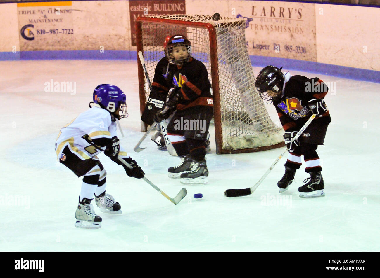 Ice hockey played by 7 year old boys Stock Photo Alamy