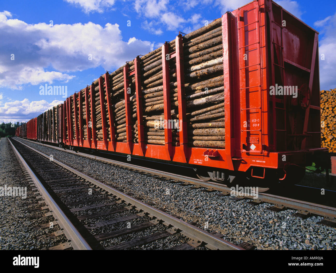 Pulpwood on Train, Northern Ontario, Canada Stock Photo