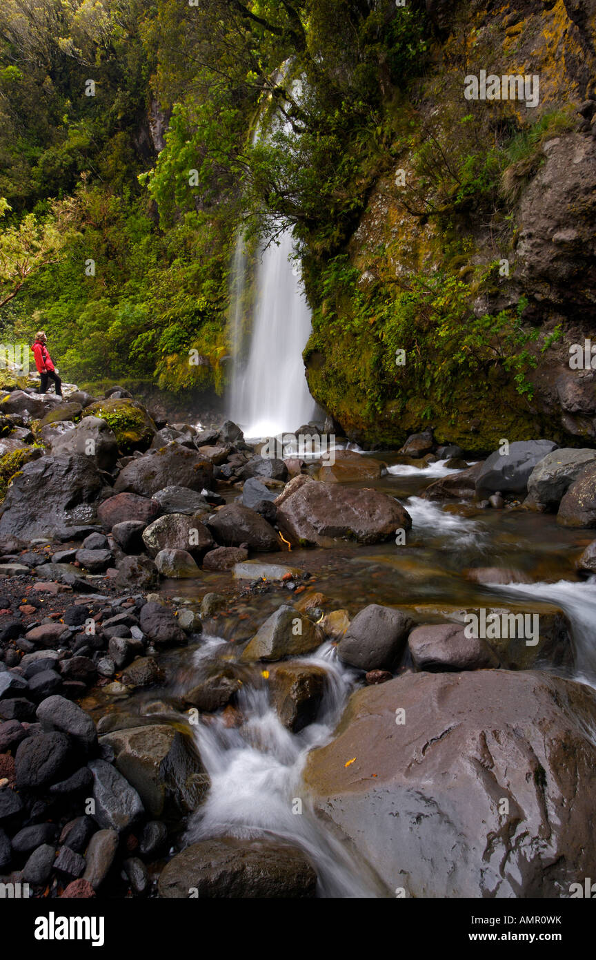 Dawson Falls and Kapuni Stream seen along the Kapuni Loop Track, Egmont  National Park, Taranaki, North Island, New Zealand Stock Photo - Alamy