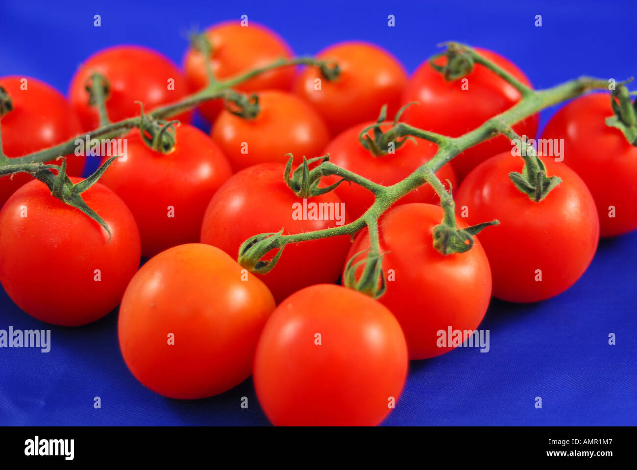 bunch of cherry tomatoes Stock Photo - Alamy