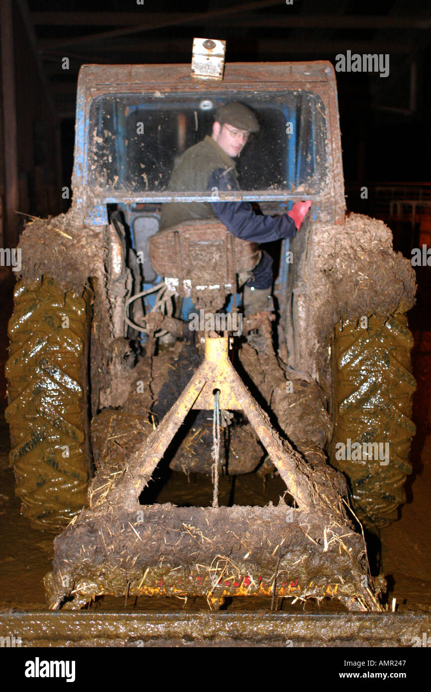 Farmer using a tractor to scrape up manure in cow shed at 0400 hrs on a small farm in Worth Matravers Dorset UK Stock Photo