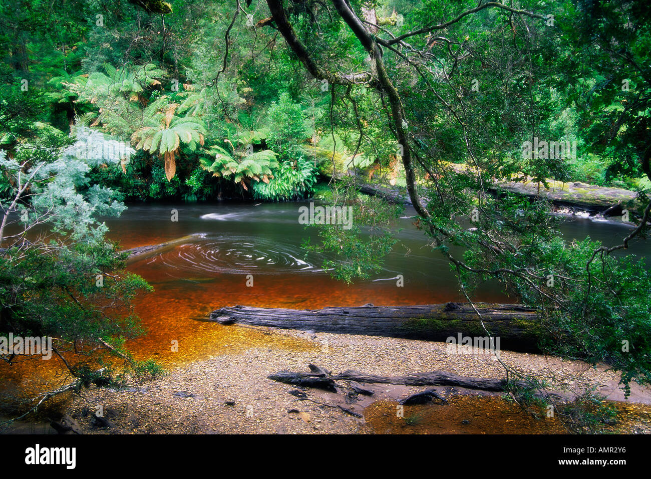 Styx River, Maydena, Tasmania, Australia Stock Photo