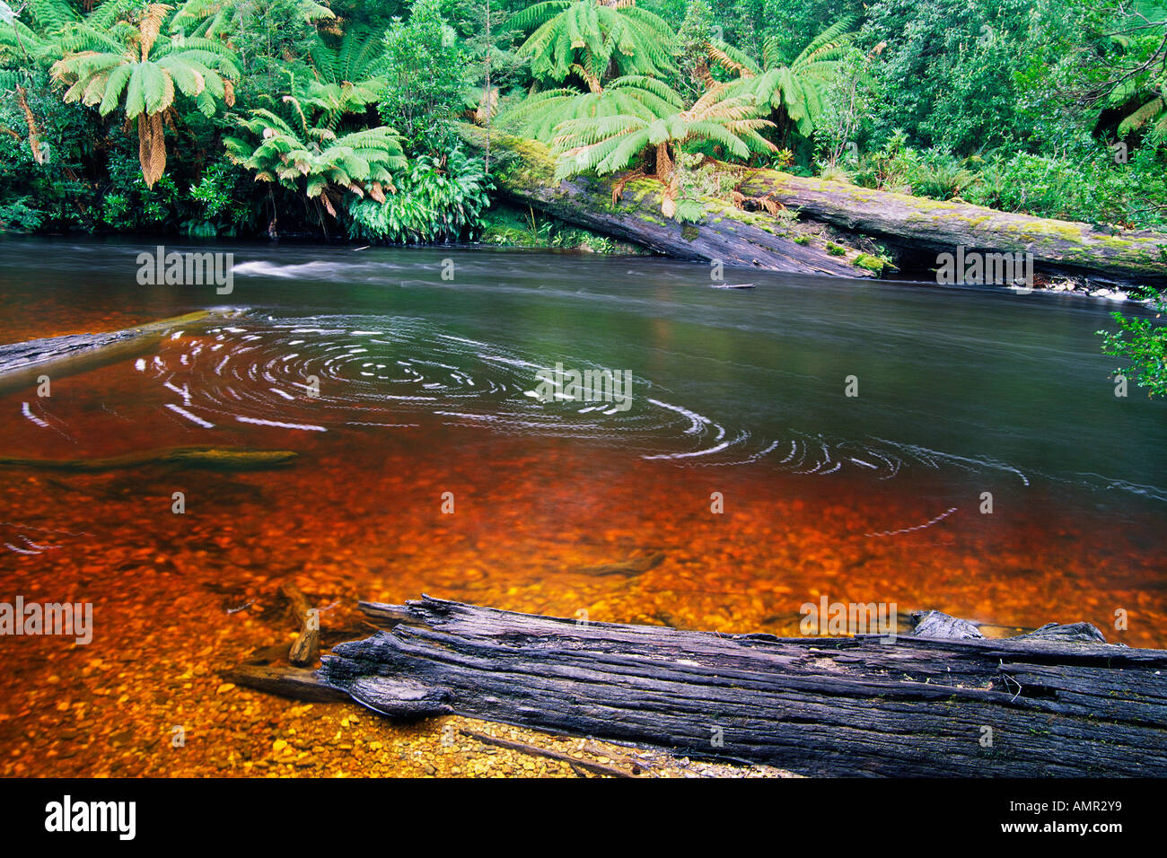 Styx River, Maydena, Tasmania, Australia Stock Photo