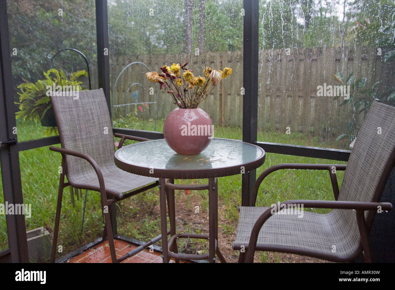 Dead flowers on a glass table in a screened patio in the rain Stock Photo