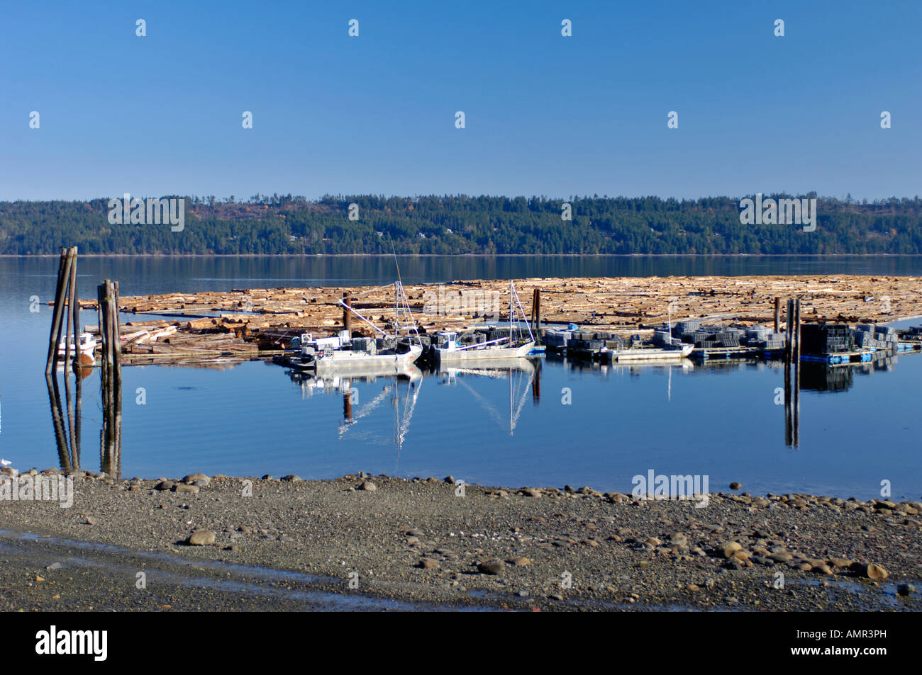 Canadian Floating log raft at Fanny Bay Chained and ready to be towed ...