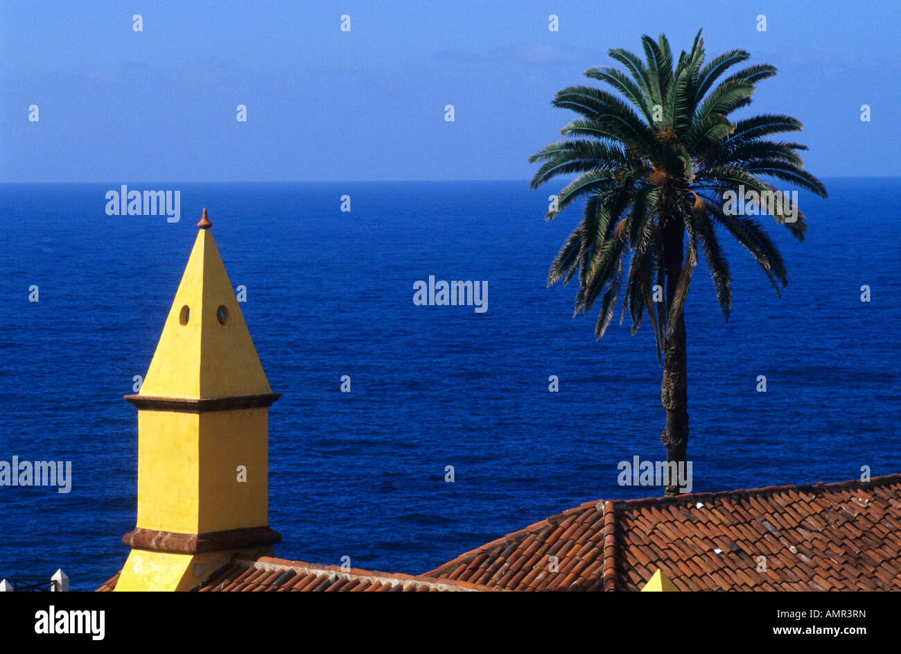 Rambla de Castro TENERIFE ISLAND Canary Islands SPAIN Stock Photo