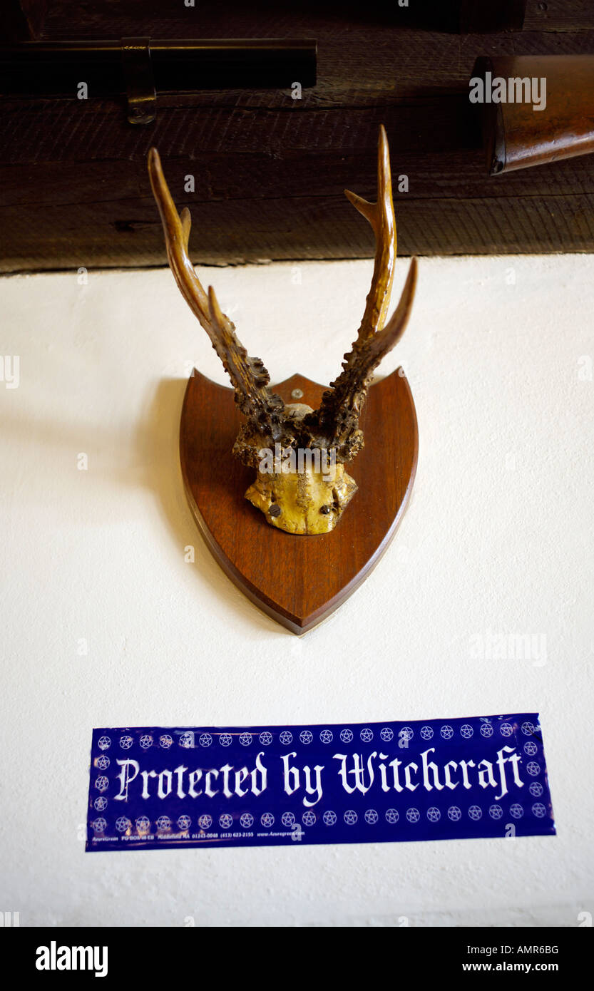 antlers bar