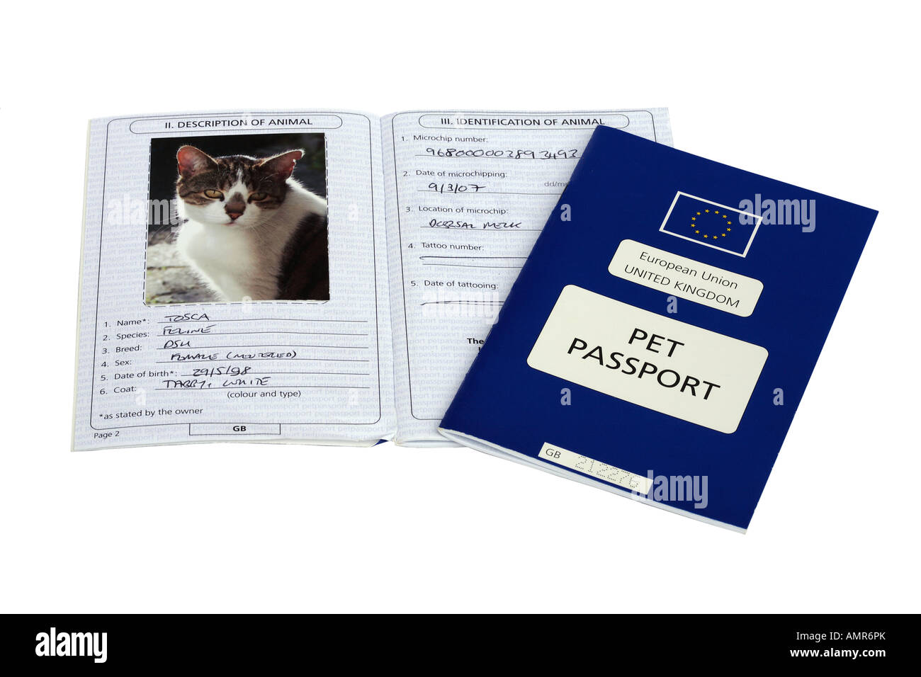 European pet passport Stock Photo