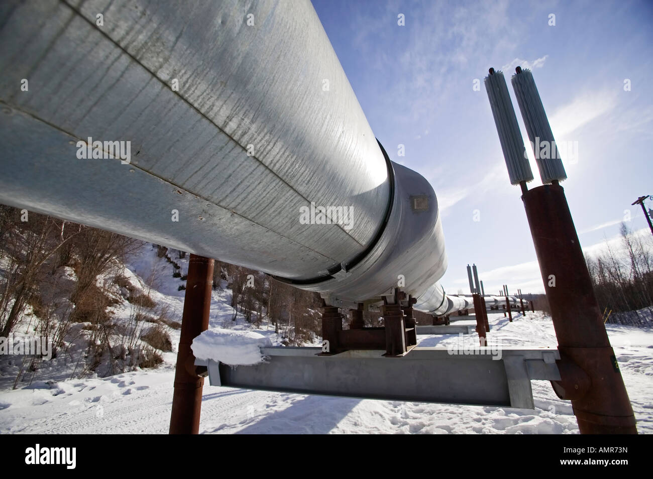 Alaska, winter, Pigs in the Pipeline; Alyeska Pipeline, Pipeline Viewpoint, Pipeline History, Stock Photo