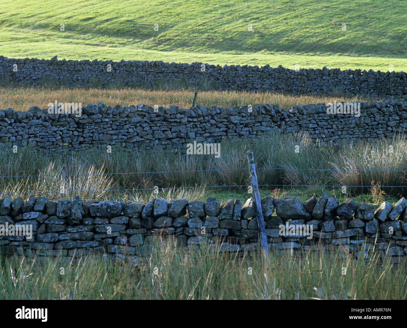 Drystone walls in Teesdale County Durham Stock Photo