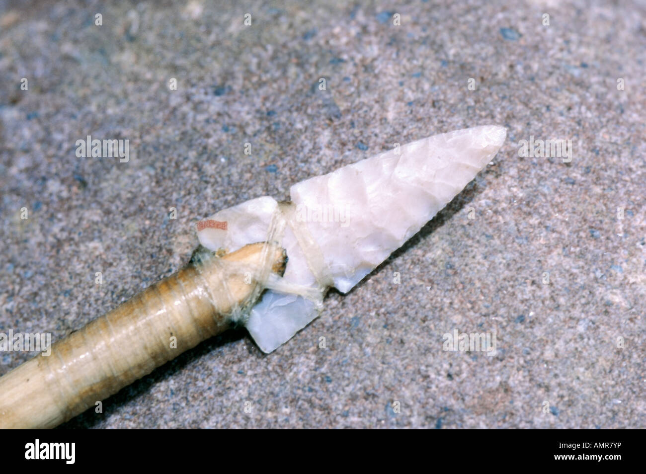 A flint arrow head attached to a willow arrow with deer sinew handmade