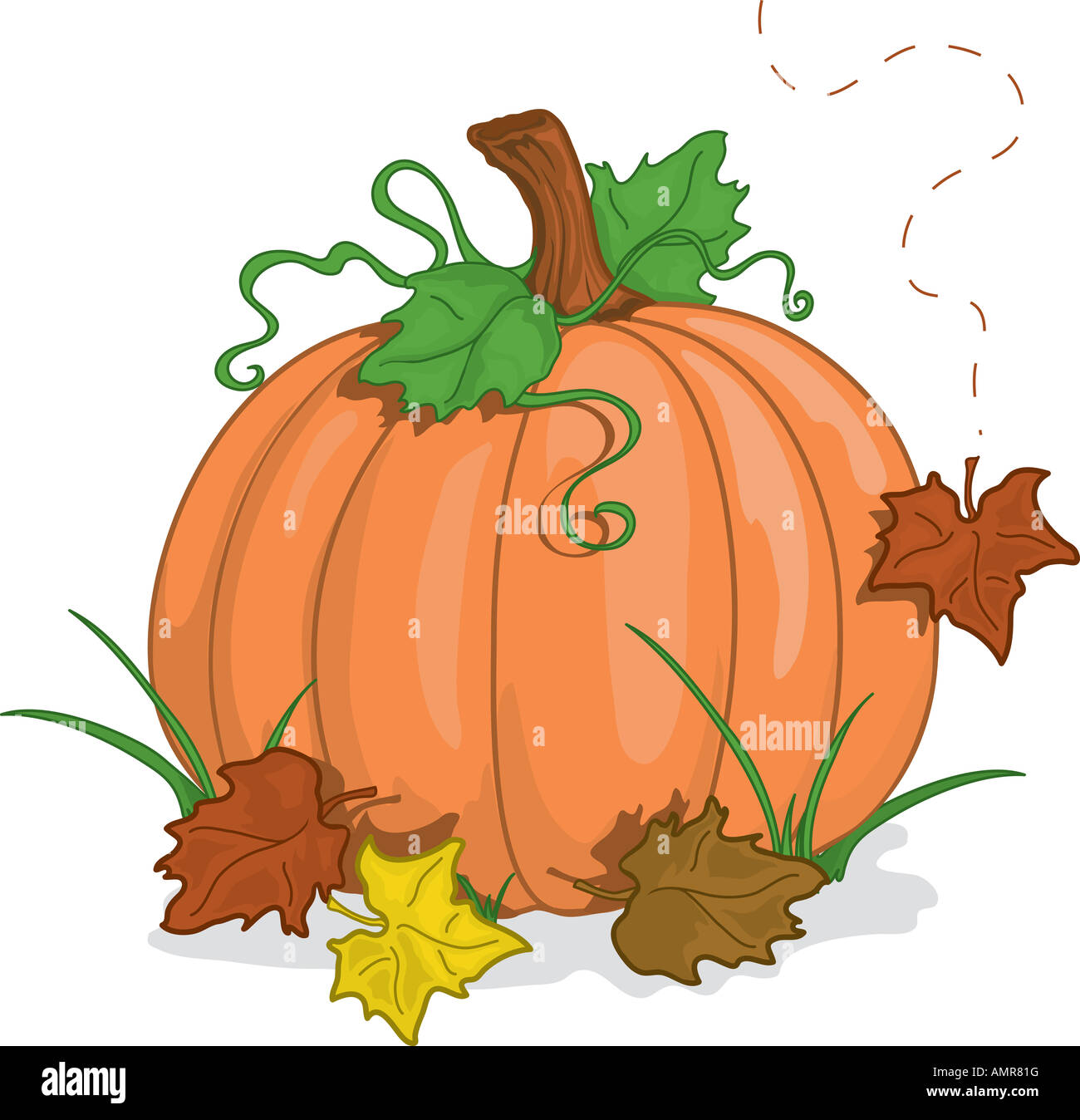 Fall pumpkin with leaves Stock Photo - Alamy