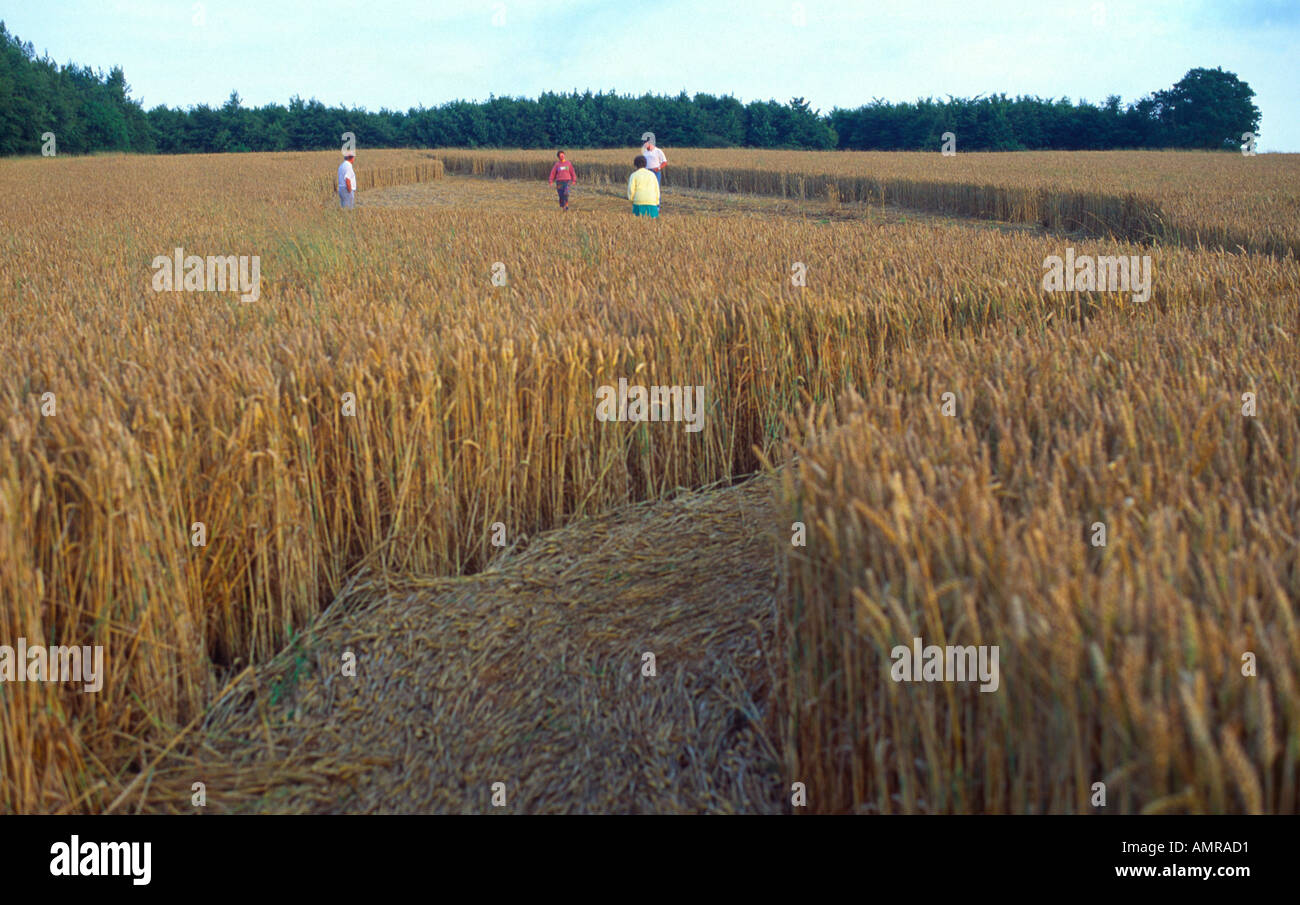 Crop Circles Wiltshire High Resolution Stock Photography and Images - Alamy Famous Crop Circle