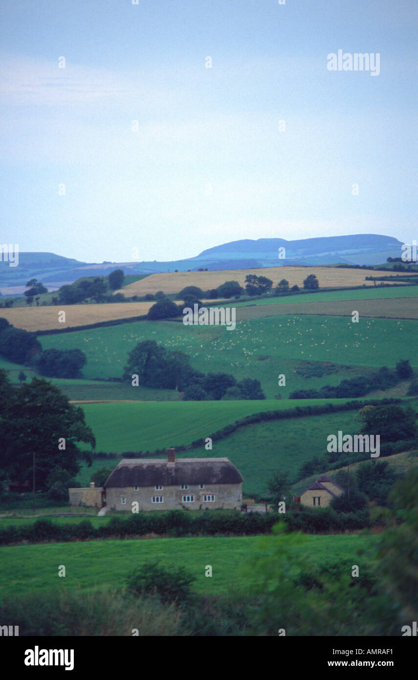 Dorset cottage and countryside near Beaminster England Stock Photo Alamy