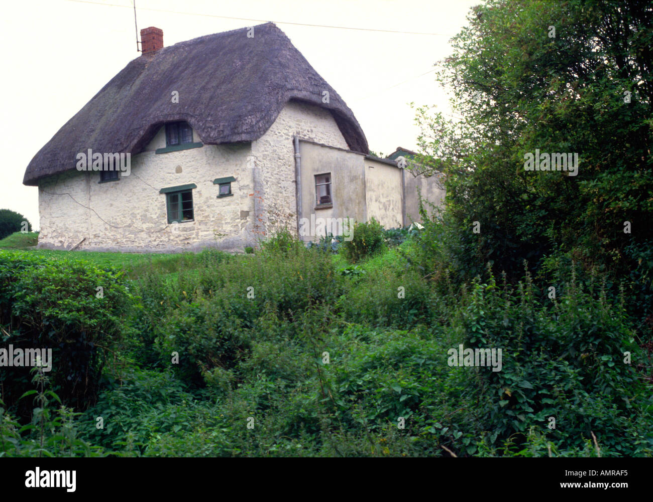 Country cottage whitewashed walls thatch Cherhill Wiltshire England