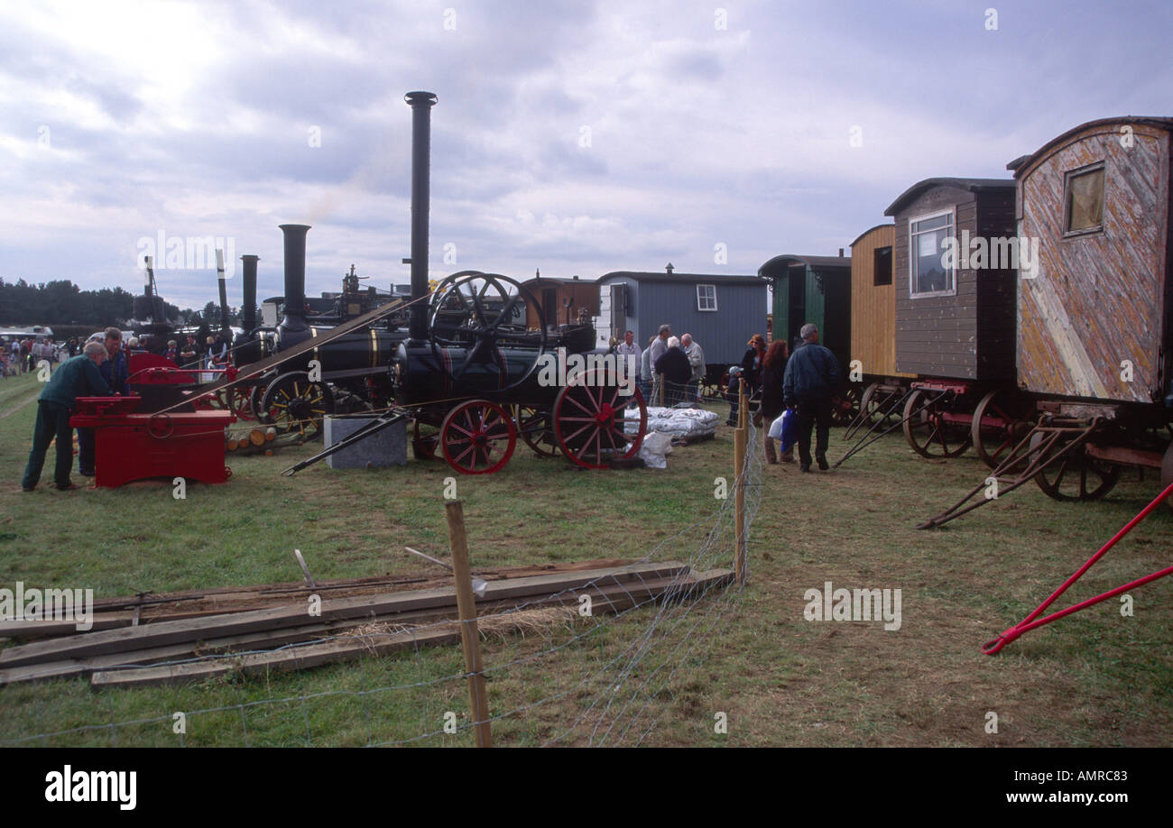 Traction engines and old camping vans Stock Photo Alamy