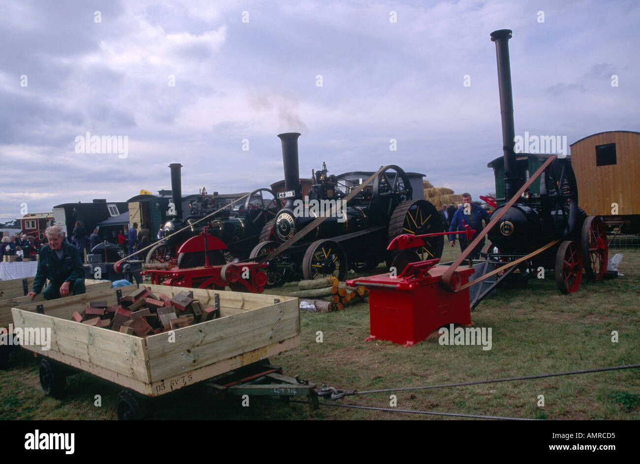 Traction engines at work Stock Photo Alamy
