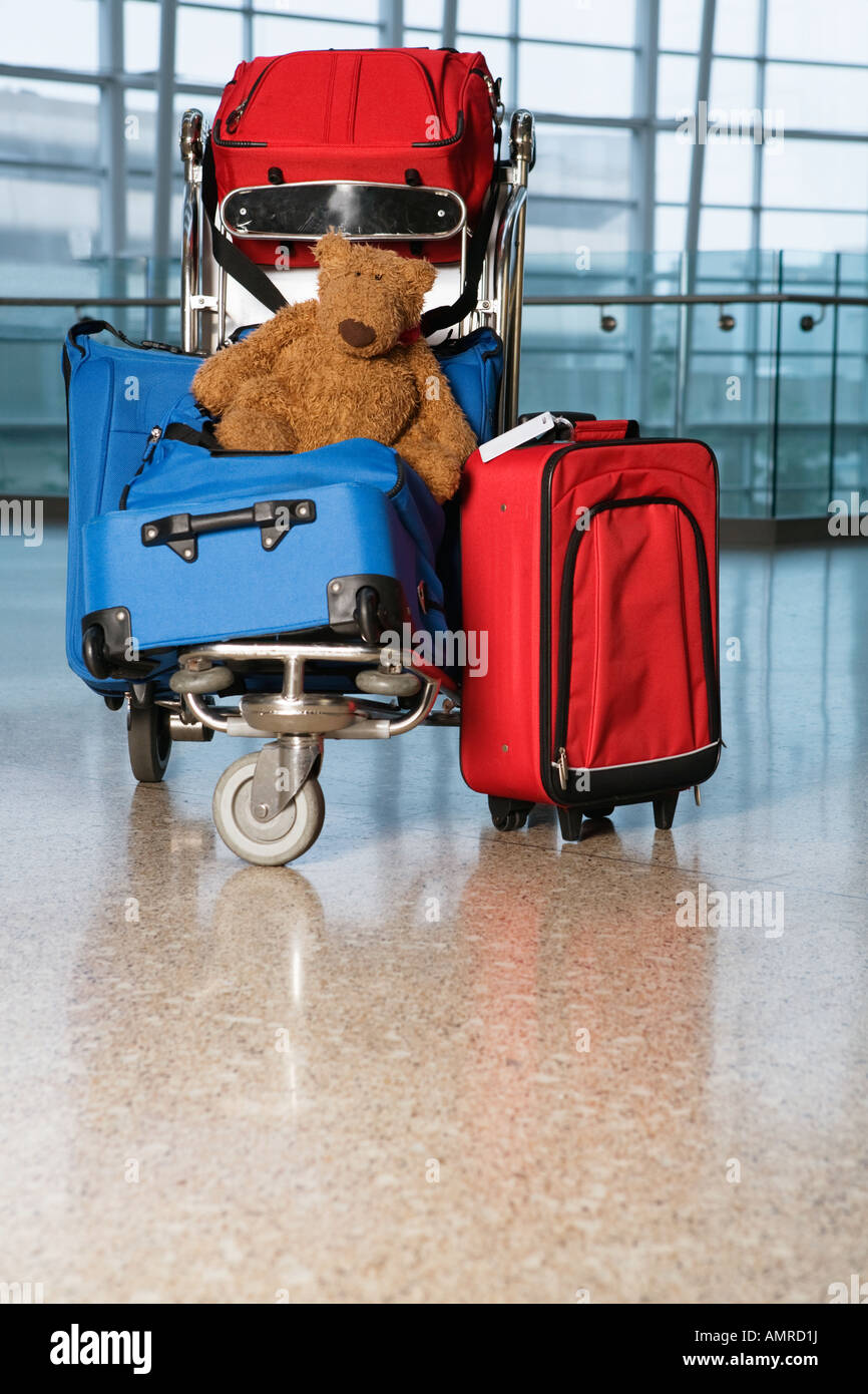 personal luggage cart