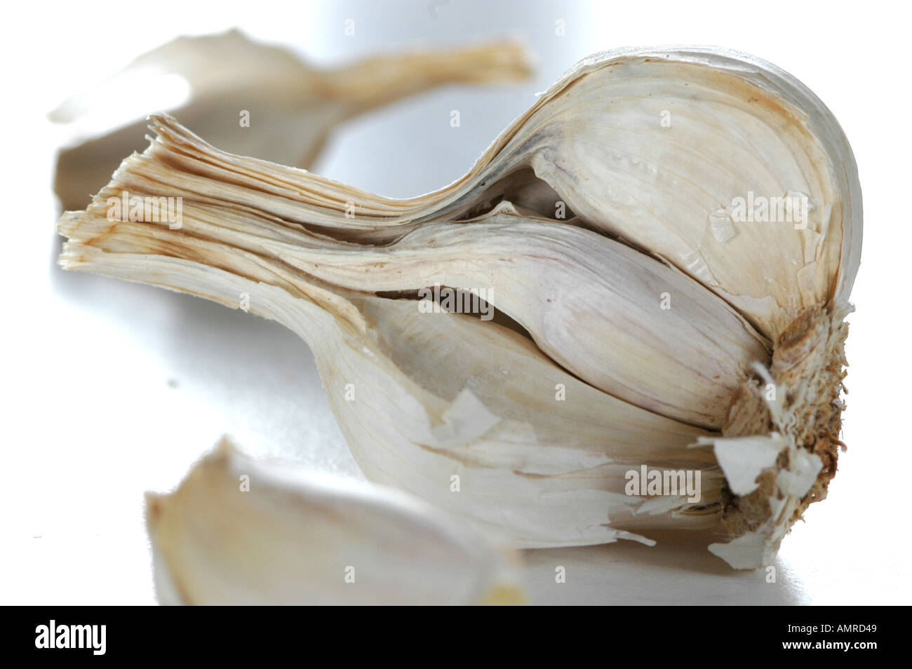 Clove of garlic Stock Photo