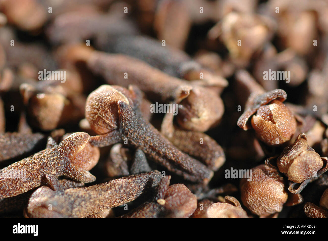 Cloves, close-up Stock Photo