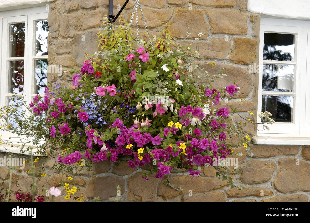 Hanging basket on a cottage wall Stock Photo - Alamy