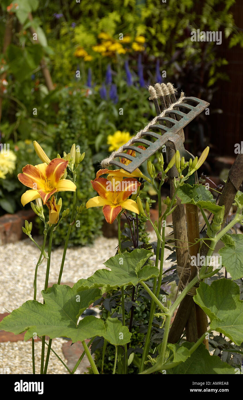 Garden rake and folk used as a support for climbing plants Stock Photo ...