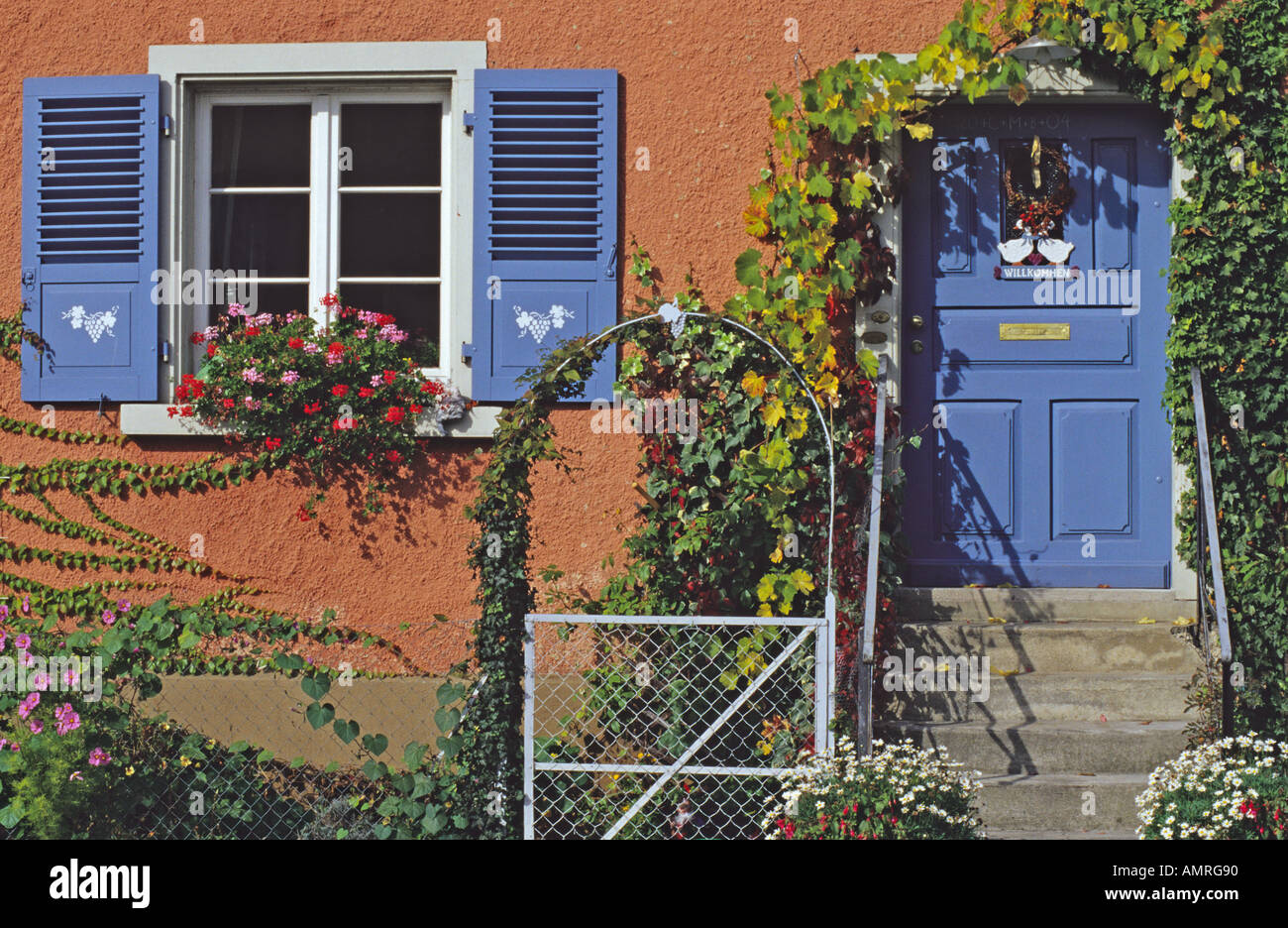 Front Door With Rank Growth Stock Photo Alamy Front Door With Rank Growth Stock Photo Alamy