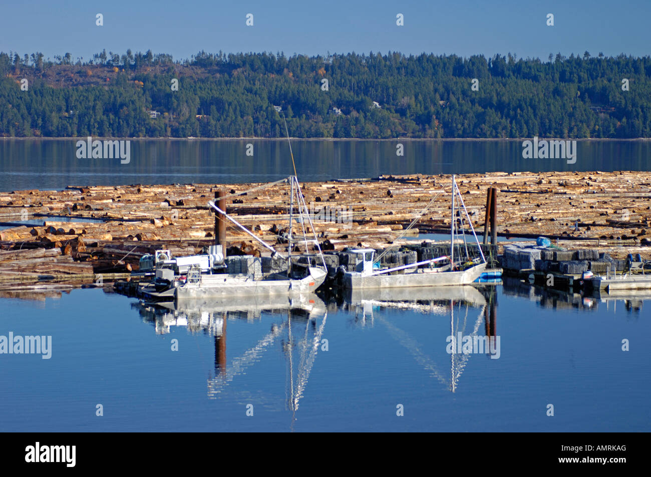 Canadian Floating log raft at Fanny Bay Chained and ready to be towed ...
